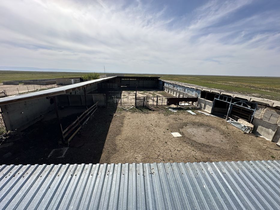 Продаётся фазенда