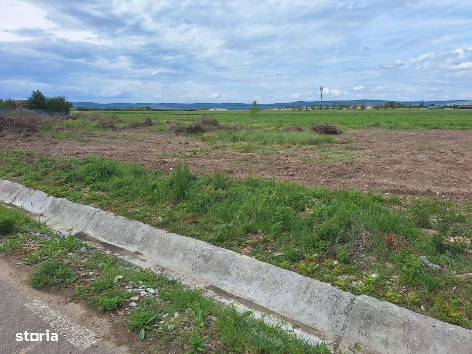 Teren de vanzare Sacadat 800 mp,drum asfaltat