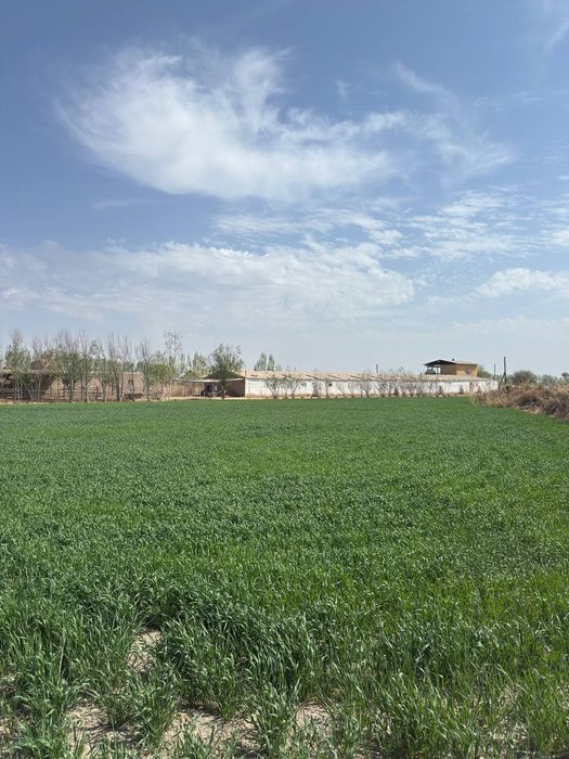 Ферма турор жой 6600 кв +3000кв ер