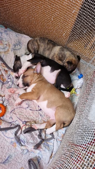 Открыт для вязок