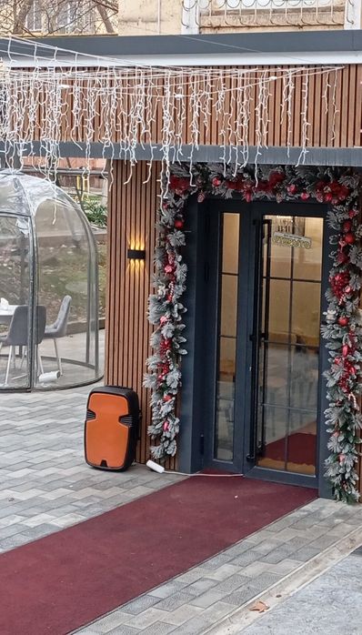 1 линия. Вдоль дороги. Нежилое