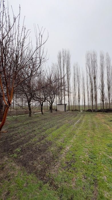 Дом участок 9 соток