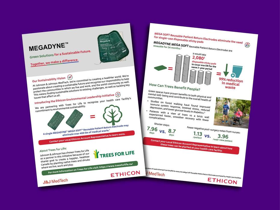 Servicii de design grafic - print & web. Experienta internationala