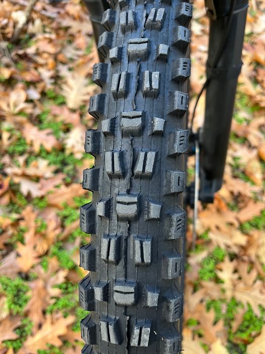 YT industies capra core1