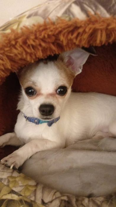 Мальчик ишо маленький