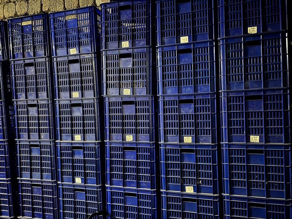 Яшик 60х43х35 40шт