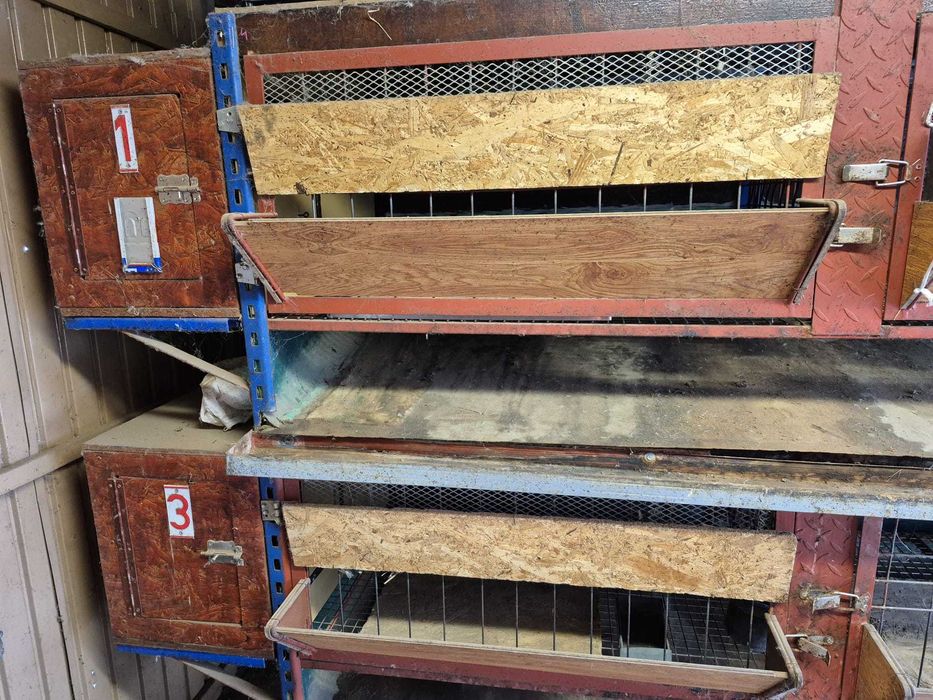 Coteț animale cu spații pentru fătare