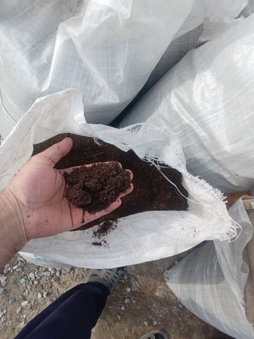 Био гомес ва калифорния чувалчанги бор