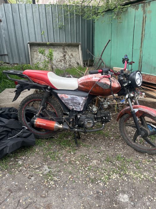 Альфа рейсер 110