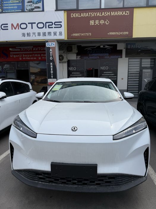 Dongfeng L7         .