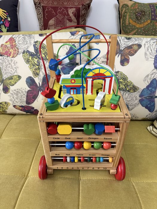 Vand jucarie de impins multifunctionala