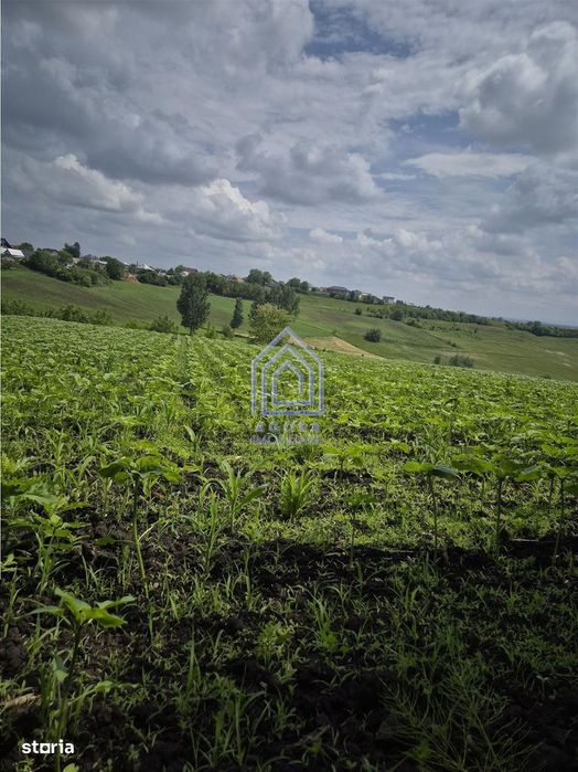 Teren intravilan Moara Nica - zona Scolii