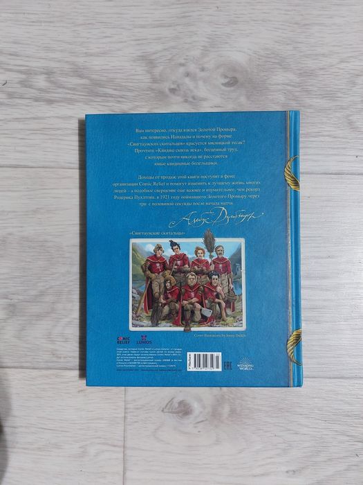 Книга гарри поттер квидичь