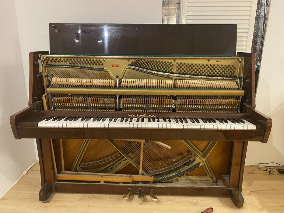 Curat | Acordez | Piane / Pianine