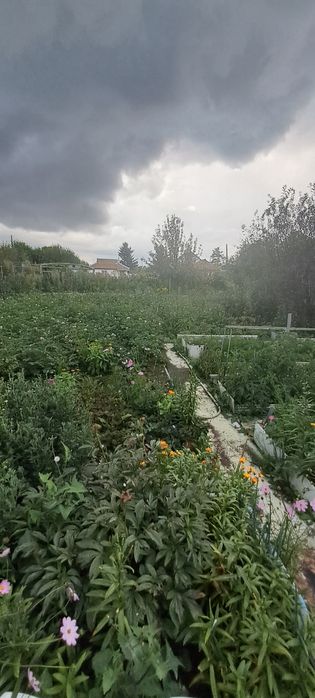 Продам дачу по Кр.Яр трассе