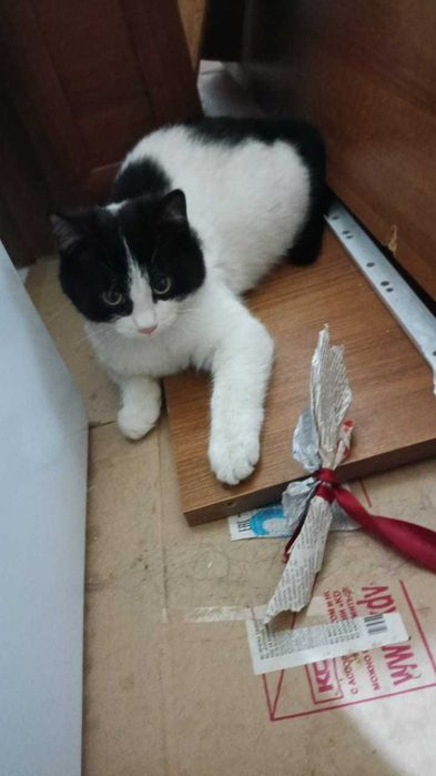 В самые ответственные руки