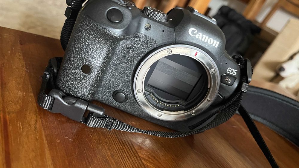 Canon r6 + RF 28-70mm f/2L