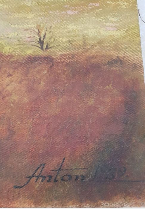 Tablou pictat în ulei pe pânză 70/50 cm