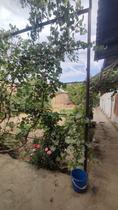 Uy sotiladi 10 soʻtu yangiyoʻl tumani yuksalish maxala