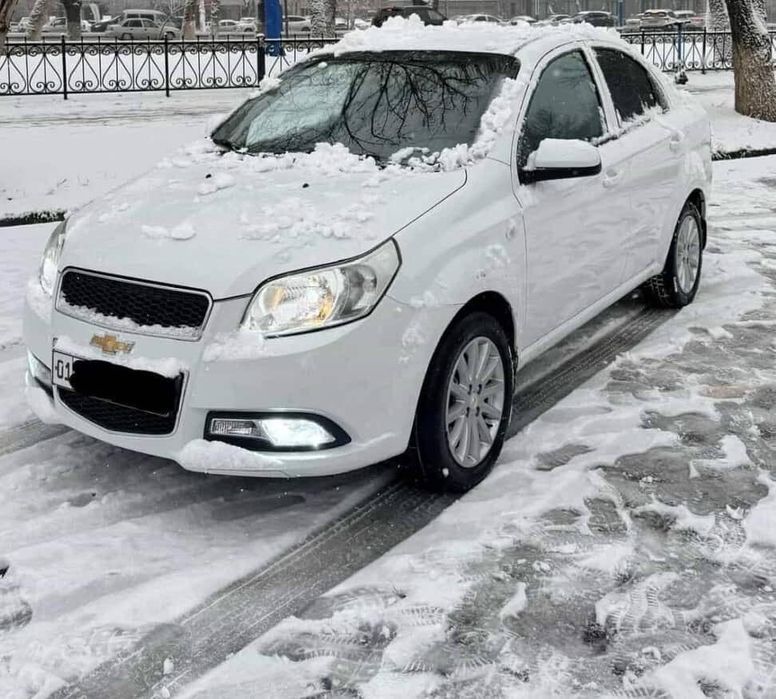 2020 yil kraska radnoy