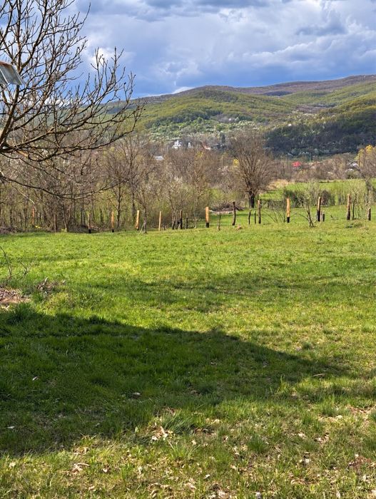 Teren Tisau Buzau