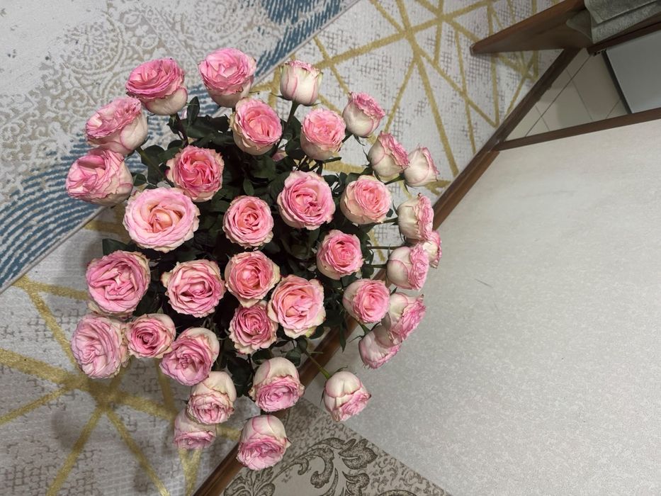 Свежий 35шт гүл. Бүгін алынған.