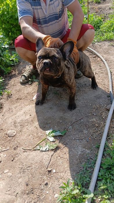 Познакомлюсь с девушкой