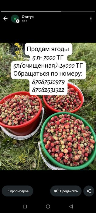 Продам землянику
