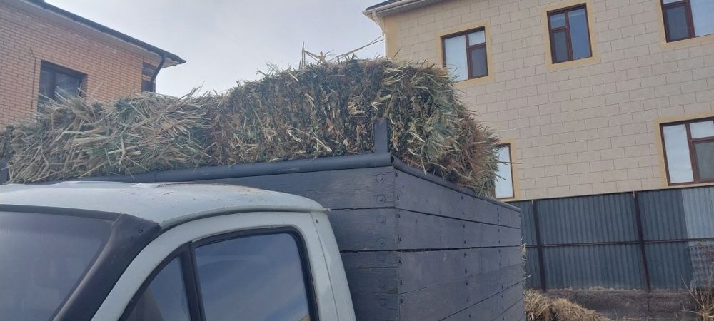 Камыс прес мощный