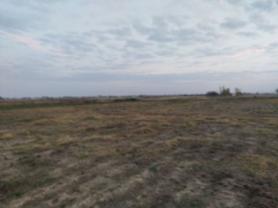 Toza yer joyi tomorqa