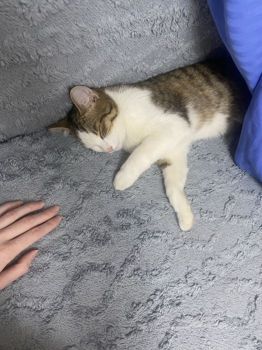 Малыша предали и выкинули, срочно ищем дом