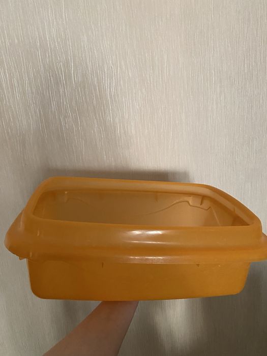 Лоток для кошки или котенка