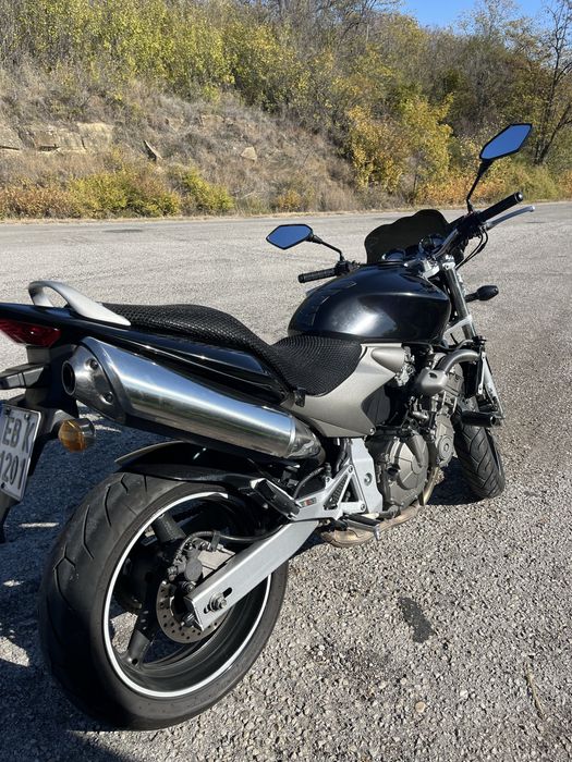 Honda Hornet  600