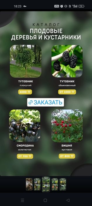 Плодовые деревья и кустарники