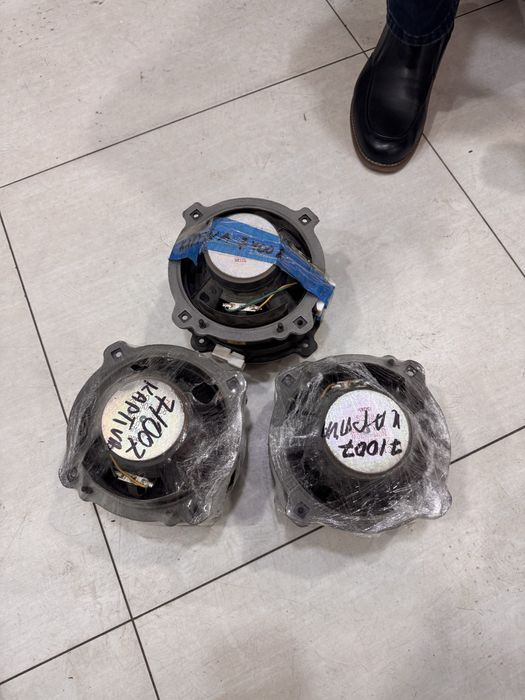 Captiva kalonka  arginal.