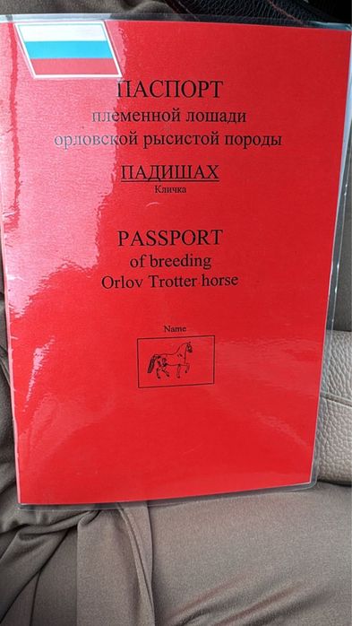 Продам племенного жеребца орловца