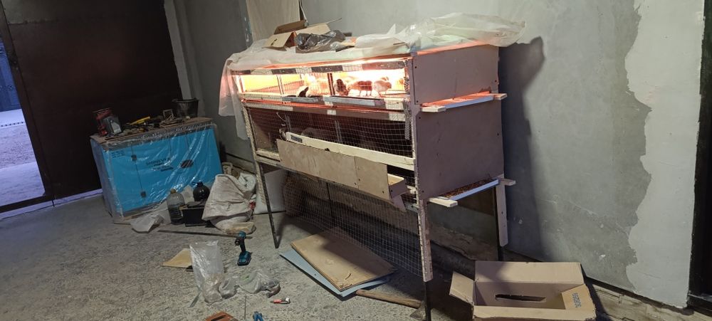 Жужа катка сотилади