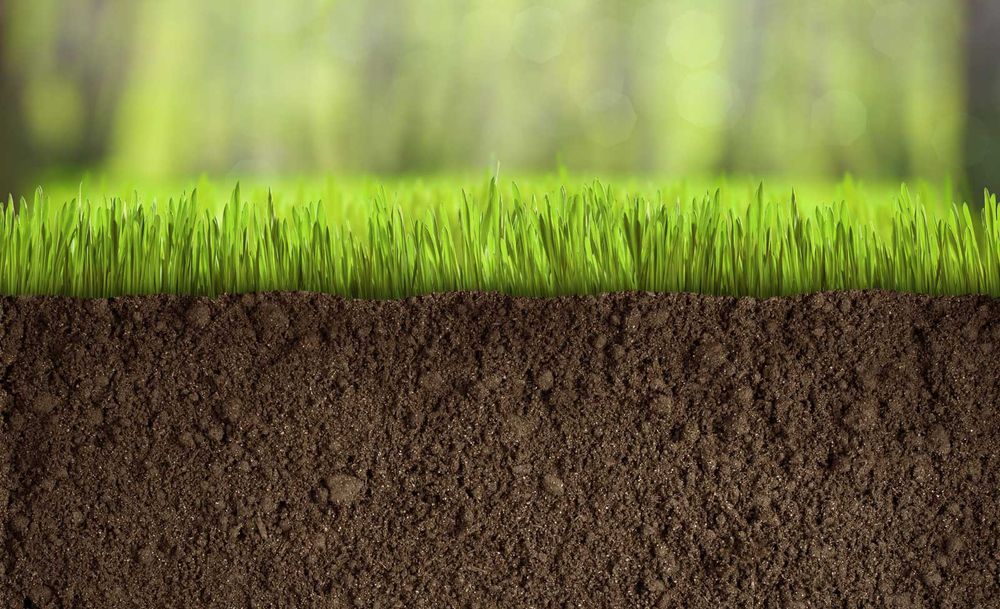 Enter green life. ПОСЕВ ГАЗОНА