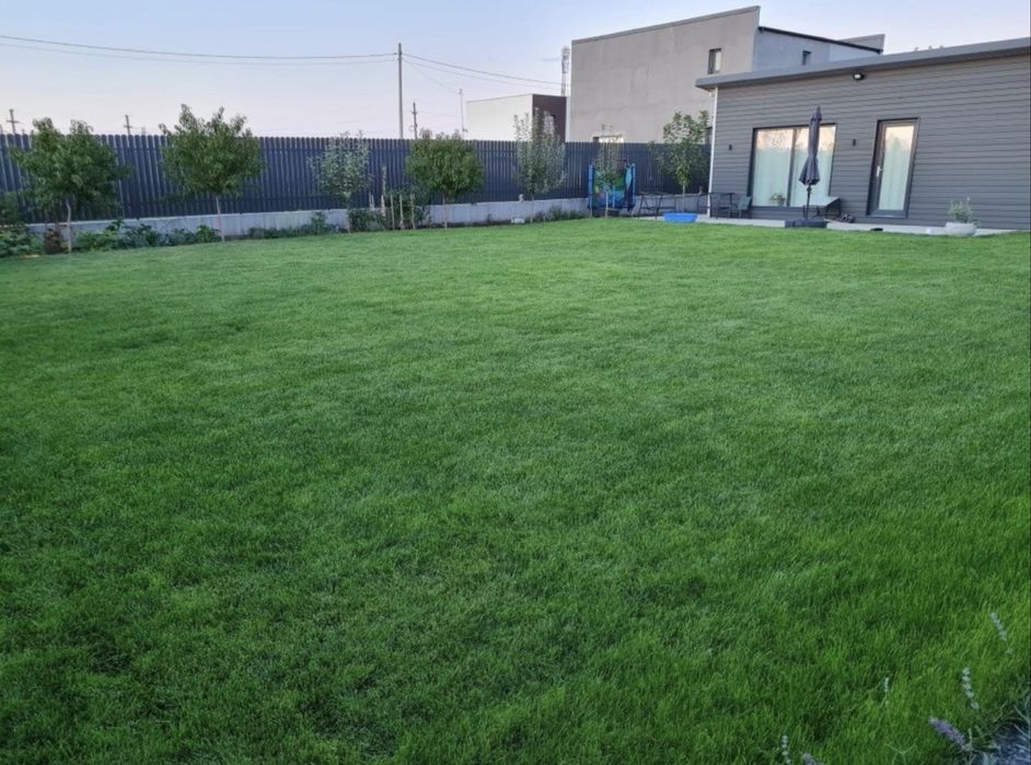 Teren 500mp Arcasilor