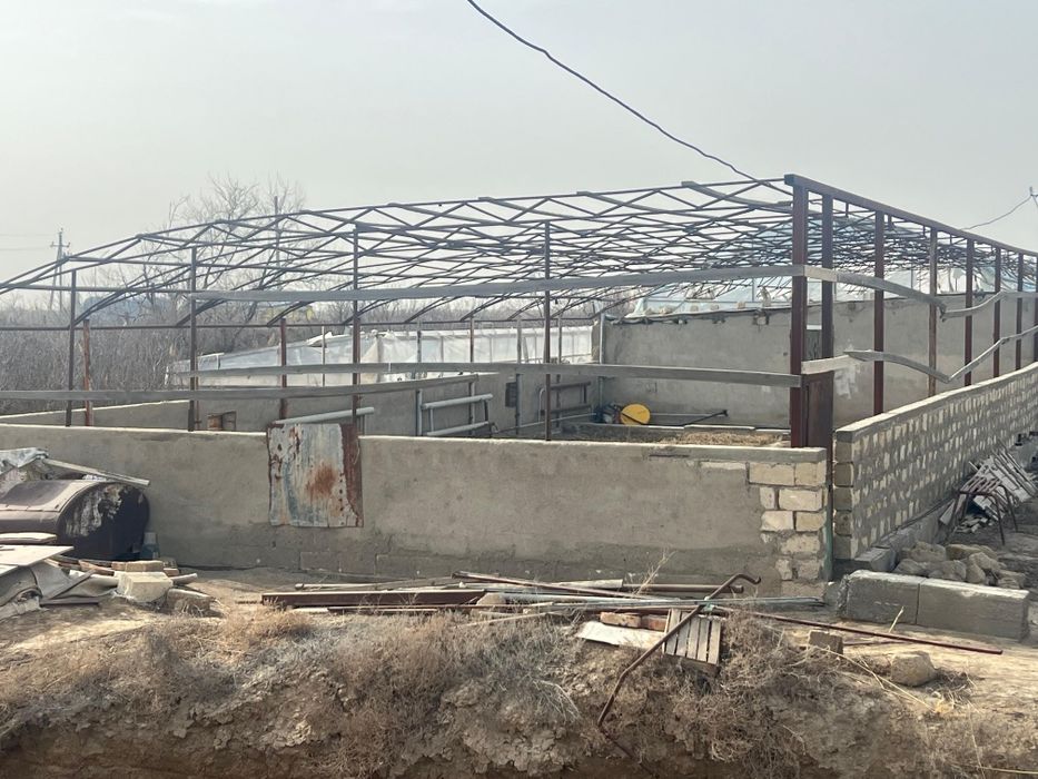 Аренда теплицы в Балауса