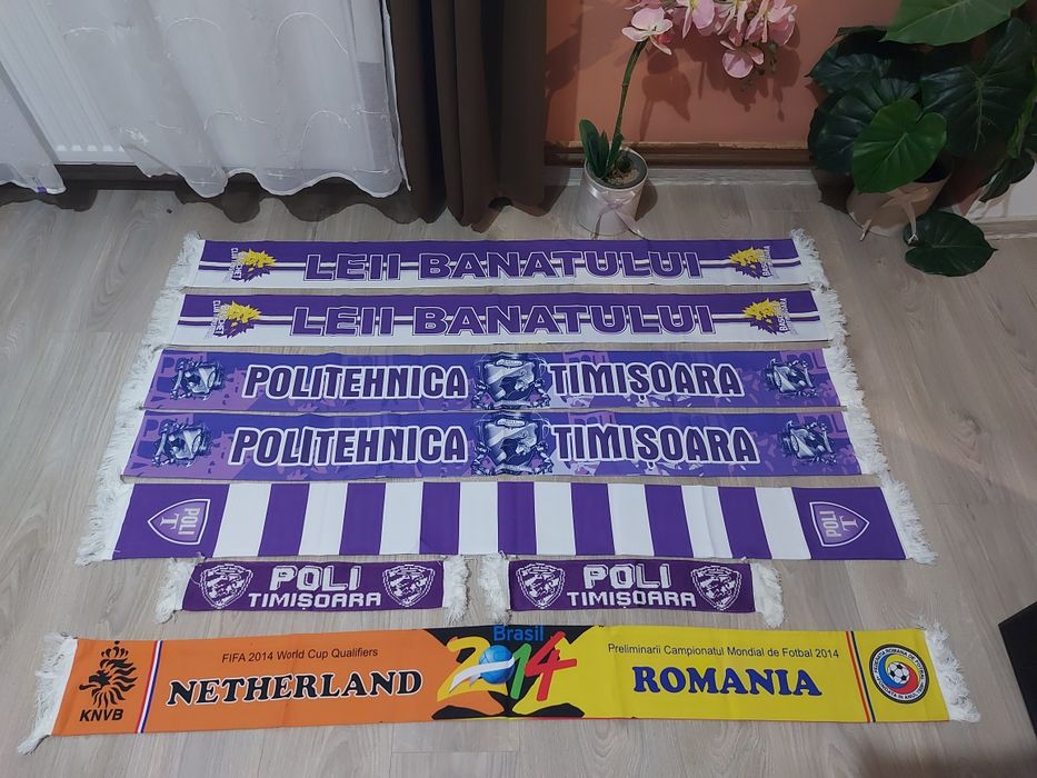 Fulare Poli Timisoara si Romania-Olanda 2014