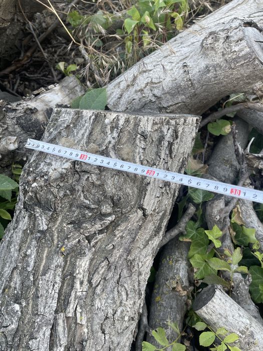 Орех-дърво на трупи