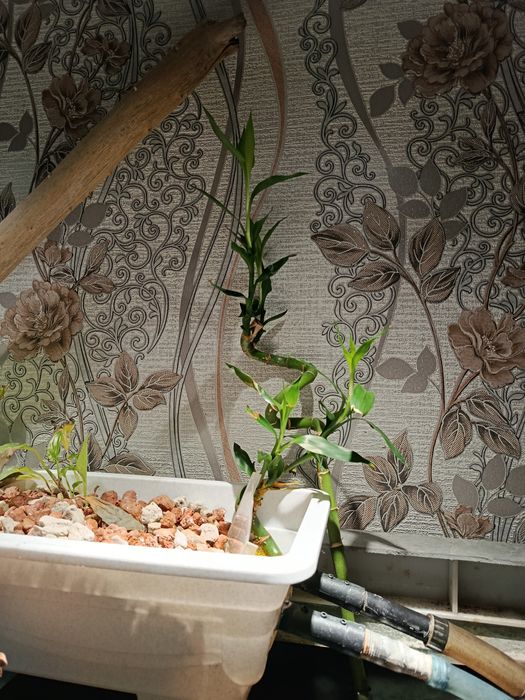 Аквариум в сборе