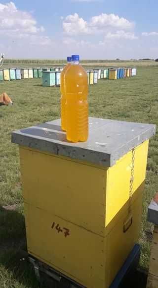 Vand  10-20 FAM ALBINE
