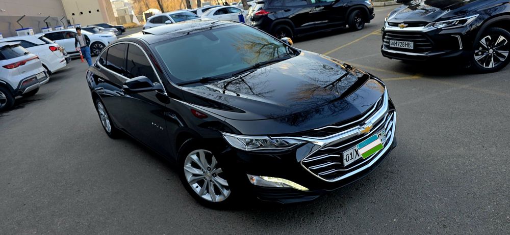 MALIBU 2 PREMIER 2022/23 kiraska top toza polni navarot
2022/23 
kiras