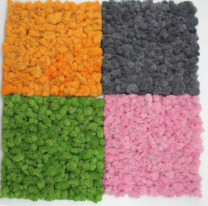 Скандинавски мъх , картини и пана , декорация зелен мъх , ПРОМОЦИЯ