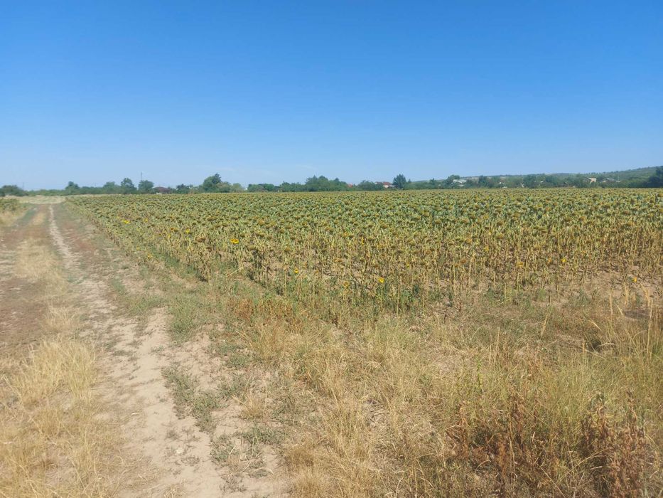 Intravilan Valea Calugareasca 4895 mp