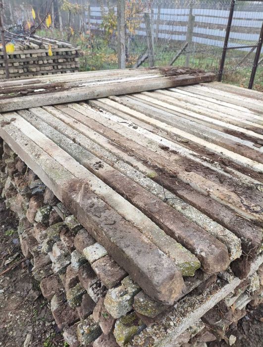 Spalieri de vie de gard din defisari