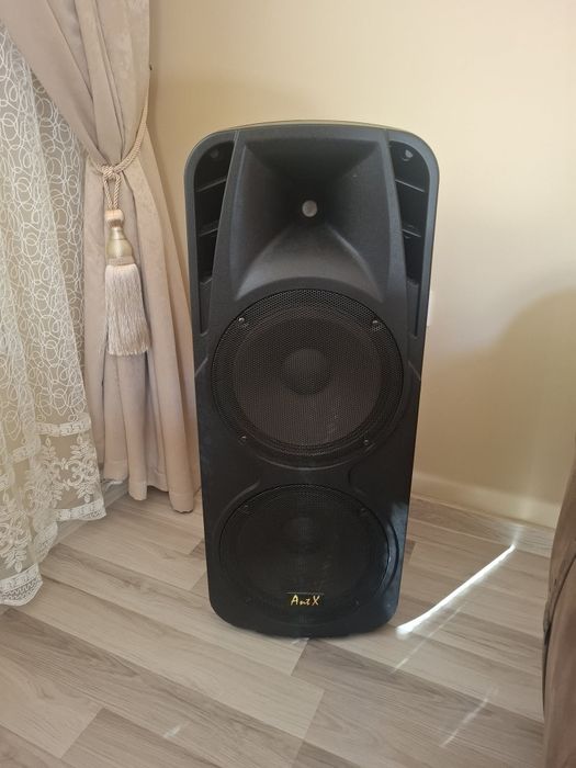 Караоке двойна тонколона PS212H AntX