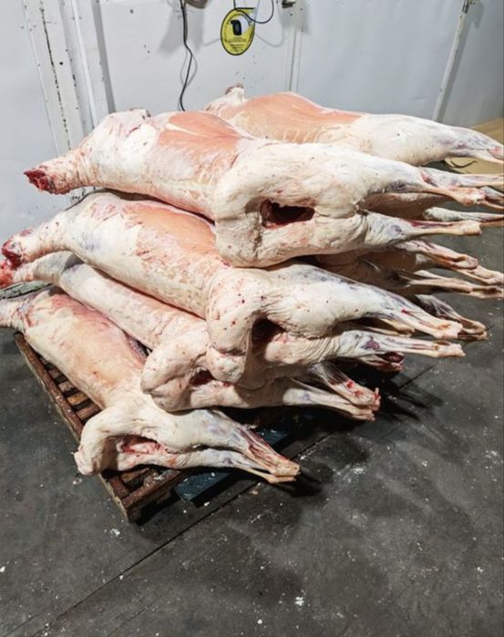 Мясо баранина жирные